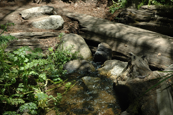 Soberanes Canyon 079.jpg